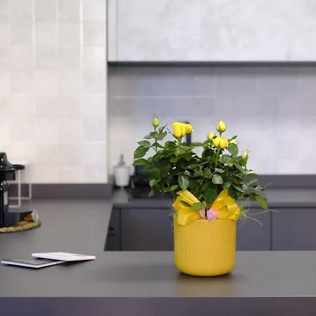 Stay&go - Bilocale Con Giardino Pregnana Milanese